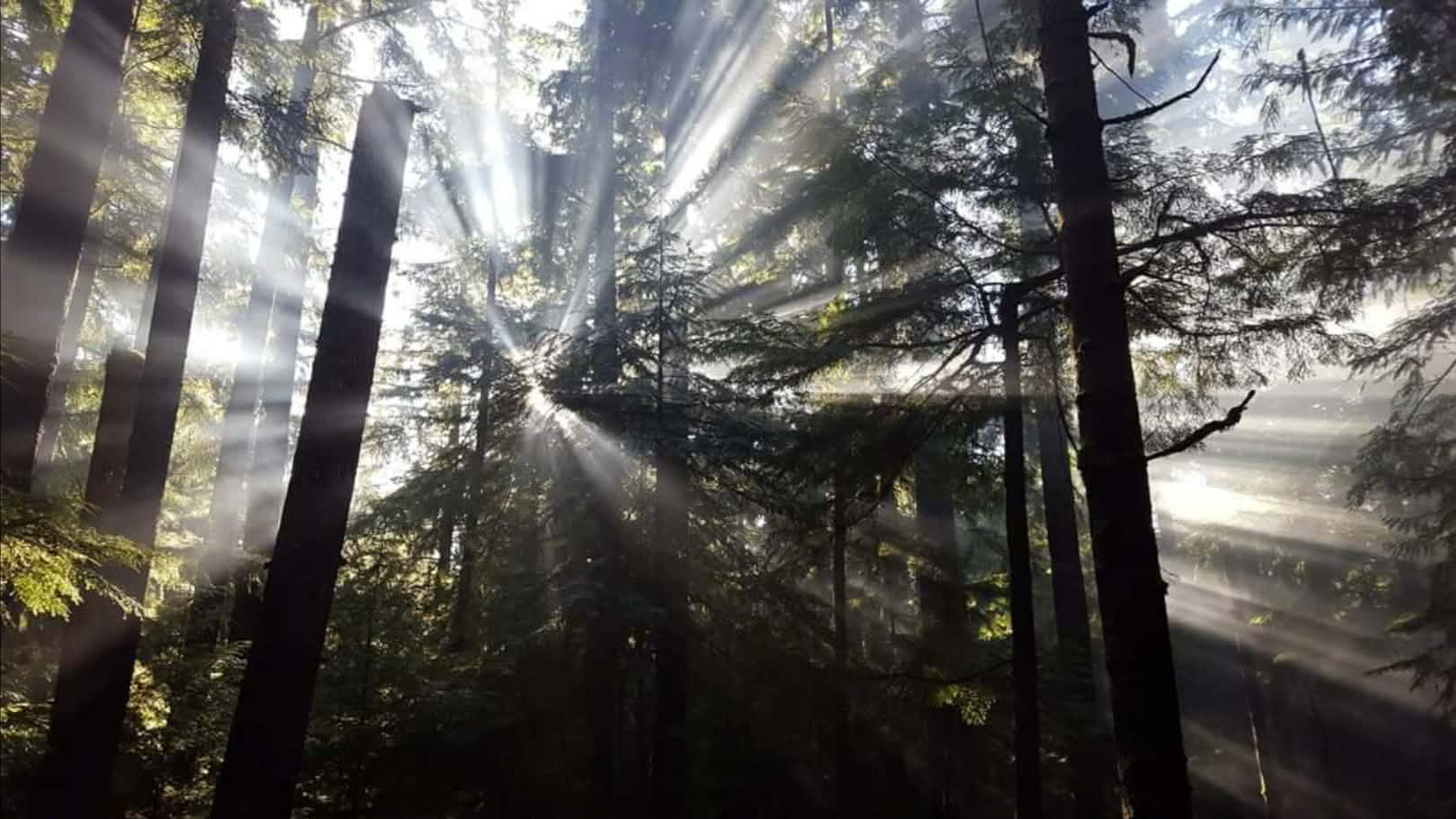 Photography by Joe Sahonovich
