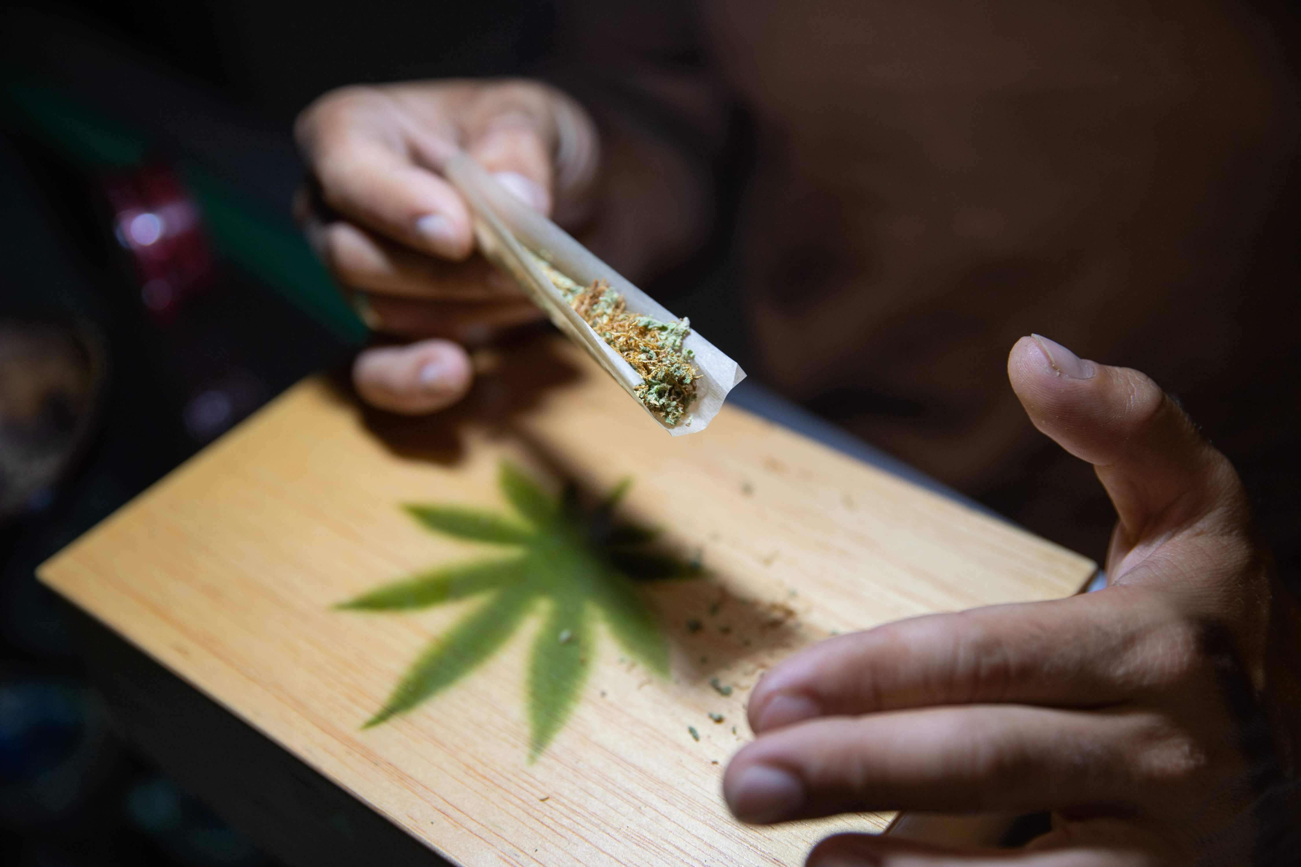 Close up of the hands of a boy who is rolling a joint of marijuana. Focus on the marijuana in the rolling paper